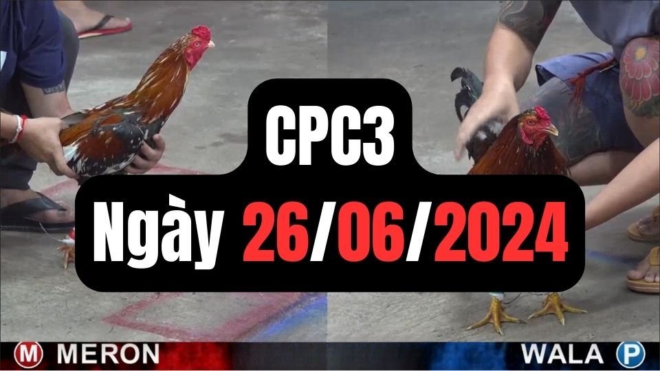 Đá gà thomo CPC3 ngày 26/06/2024