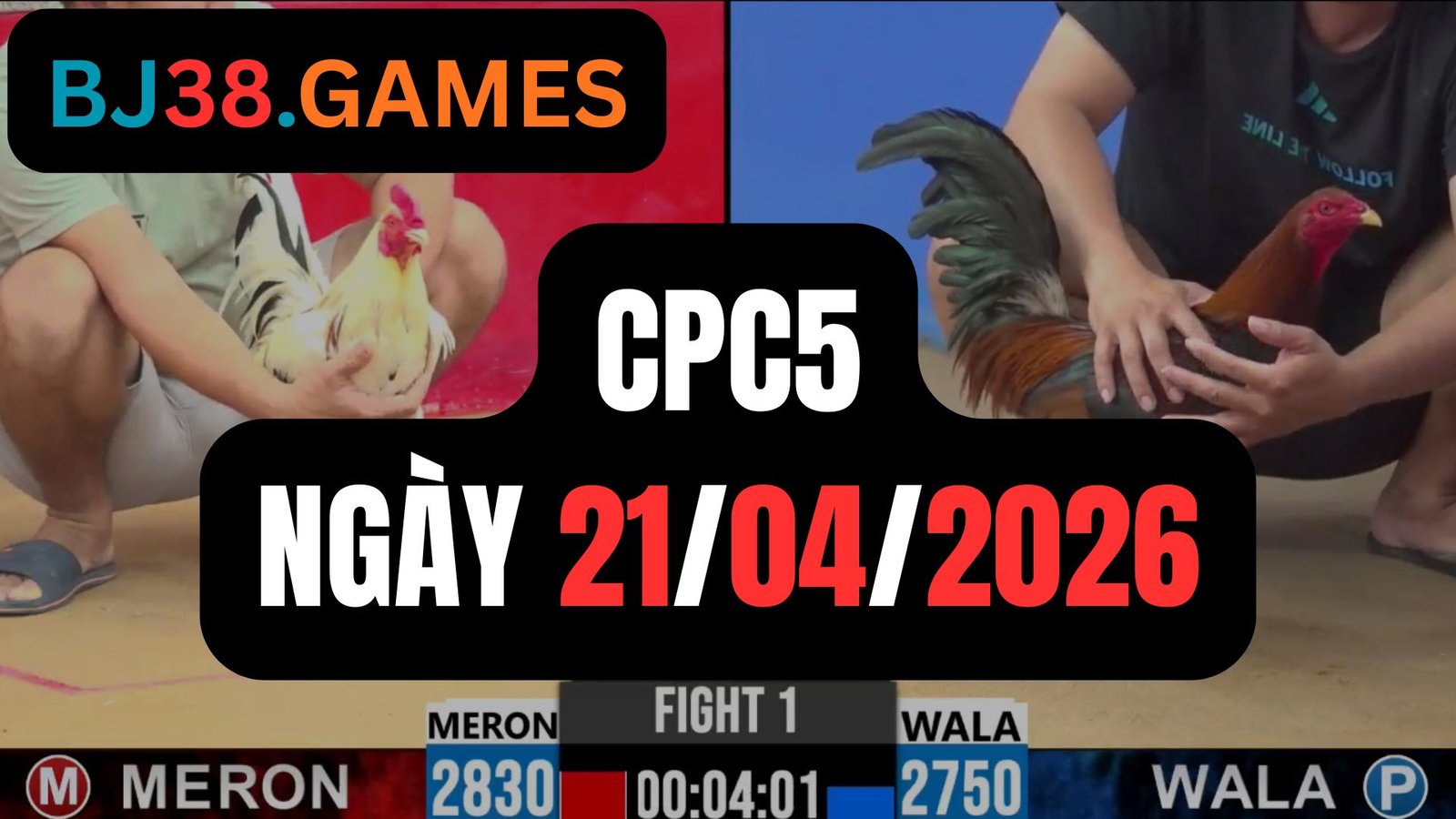Đá gà thomo CPC5 ngày 21-04-2026