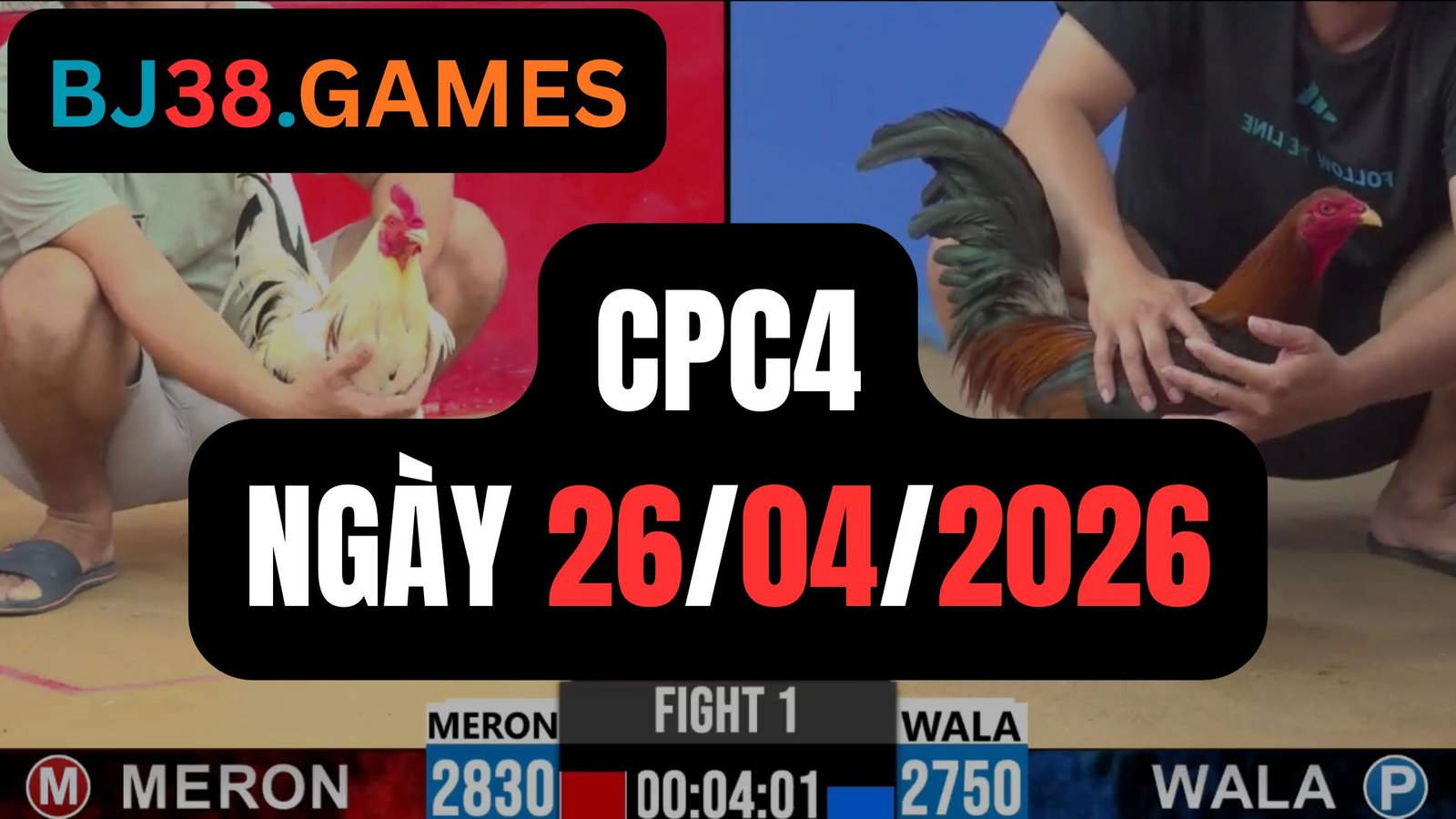 Đá gà thomo CPC4 ngày 26-04-2026
