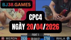 Đá gà thomo CPC4 ngày 20-04-2026