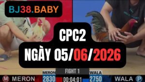 Đá gà thomo CPC2 ngày 05-06-2026