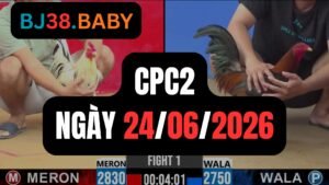 Đá gà thomo CPC2 ngày 24-06-2026
