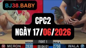 Đá gà thomo CPC2 ngày 17-06-2026