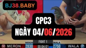 Đá gà thomo CPC3 ngày 04-06-2026
