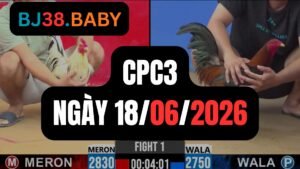 Đá gà thomo CPC3 ngày 18-06-2026