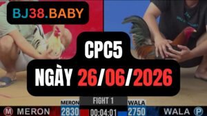 Đá gà thomo CPC5 ngày 26-06-2026