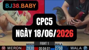 Đá gà thomo CPC5 ngày 18-06-2026