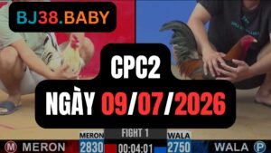 Video đá gà CPC2 Thomo hôm nay 09-07-2026