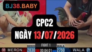 Video đá gà CPC2 Thomo hôm nay 13-07-2026