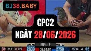Đá gà thomo CPC2 ngày 28-06-2026