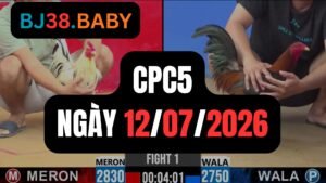 Video đá gà CPC5 Thomo hôm nay 12-07-2026