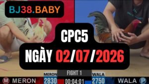 Đá gà thomo CPC5 ngày 01-07-2026